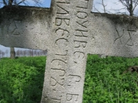 Wierzbica_625