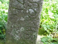 Wierzbica_628