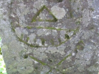 Wierzbica_629