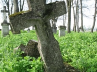 Wierzbica_630