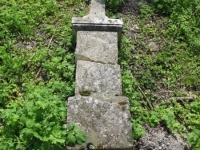 Wierzbica_631