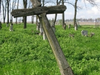 Wierzbica_632