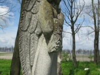 Wierzbica_641