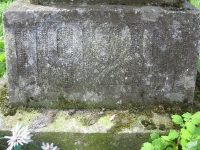 Wierzbica_643