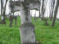 Wierzbica_647