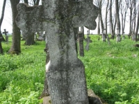 Wierzbica_649
