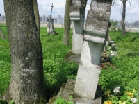 Wierzbica_651