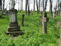 Wierzbica_652