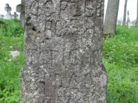 Wierzbica_658