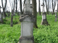 Wierzbica_661