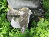 Wierzbica_666