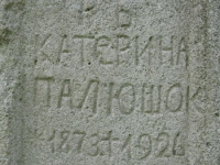 Wierzbica_667