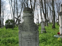 Wierzbica_668