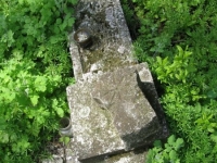 Wierzbica_671