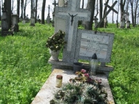 Wierzbica_672