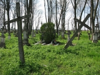 Wierzbica_677