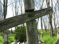 Wierzbica_678