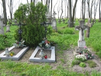 Wierzbica_682