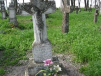 Wierzbica_683