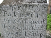 Wierzbica_684