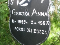 Wierzbica_685