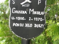 Wierzbica_687