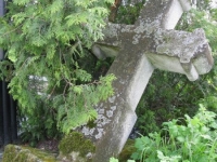 Wierzbica_689