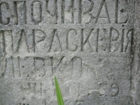 Wierzbica_694