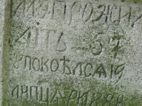 Wierzbica_698
