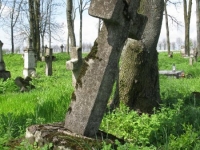 Wierzbica_705