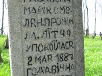 Wierzbica_707