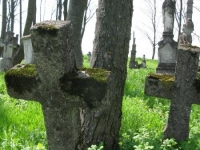 Wierzbica_713
