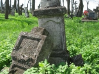 Wierzbica_717