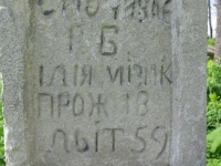 Wierzbica_724