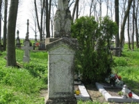 Wierzbica_730