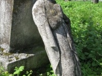 Wierzbica_733
