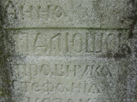 Wierzbica_734