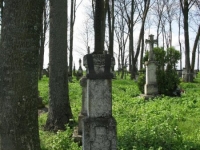 Wierzbica_735