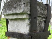 Wierzbica_737