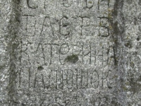 Wierzbica_739