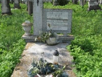 Wierzbica_740