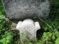 Wierzbica_743