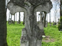 Wierzbica_746