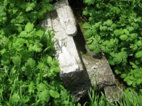 Wierzbica_749