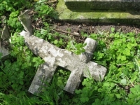 Wierzbica_753