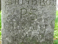 Wierzbica_757