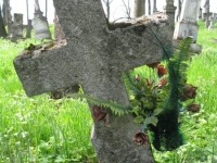 Wierzbica_758