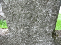 Wierzbica_762