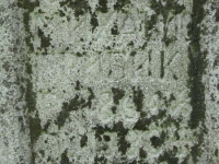 Wierzbica_766