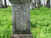 Wierzbica_769